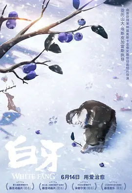 亚洲精品视
